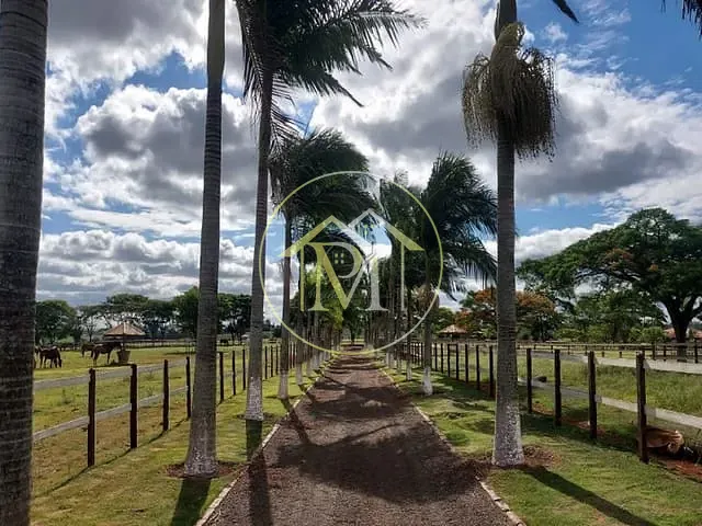 Haras com 1518792m² 2 quartos e 2 banheiros, à venda, no bairro Aleluia em Quadra