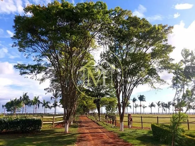 Haras com 1518792m² 2 quartos e 2 banheiros, à venda, no bairro Aleluia em Quadra
