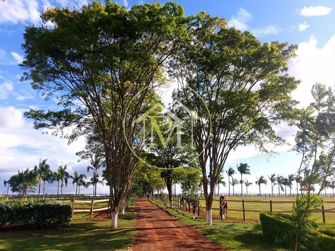 Fazenda, 152 hectares - Foto 4