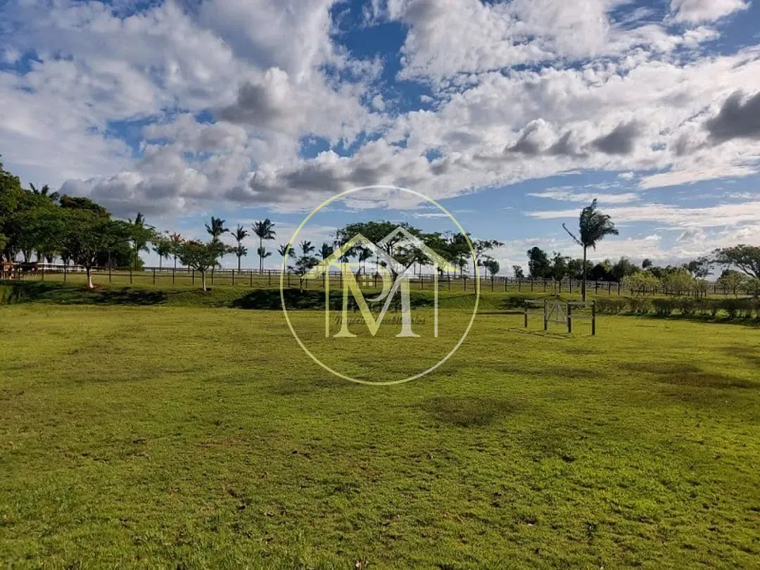 Fazenda, 152 hectares - Foto 8