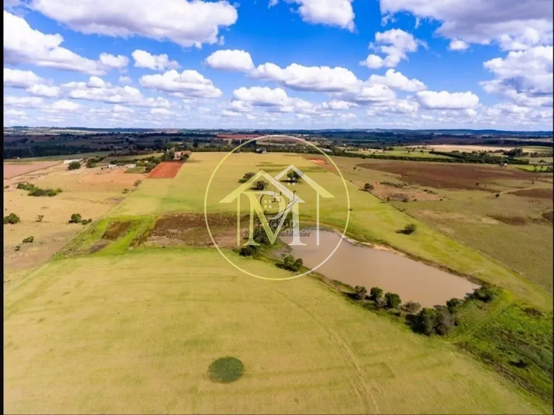 Fazenda, 152 hectares - Foto 6