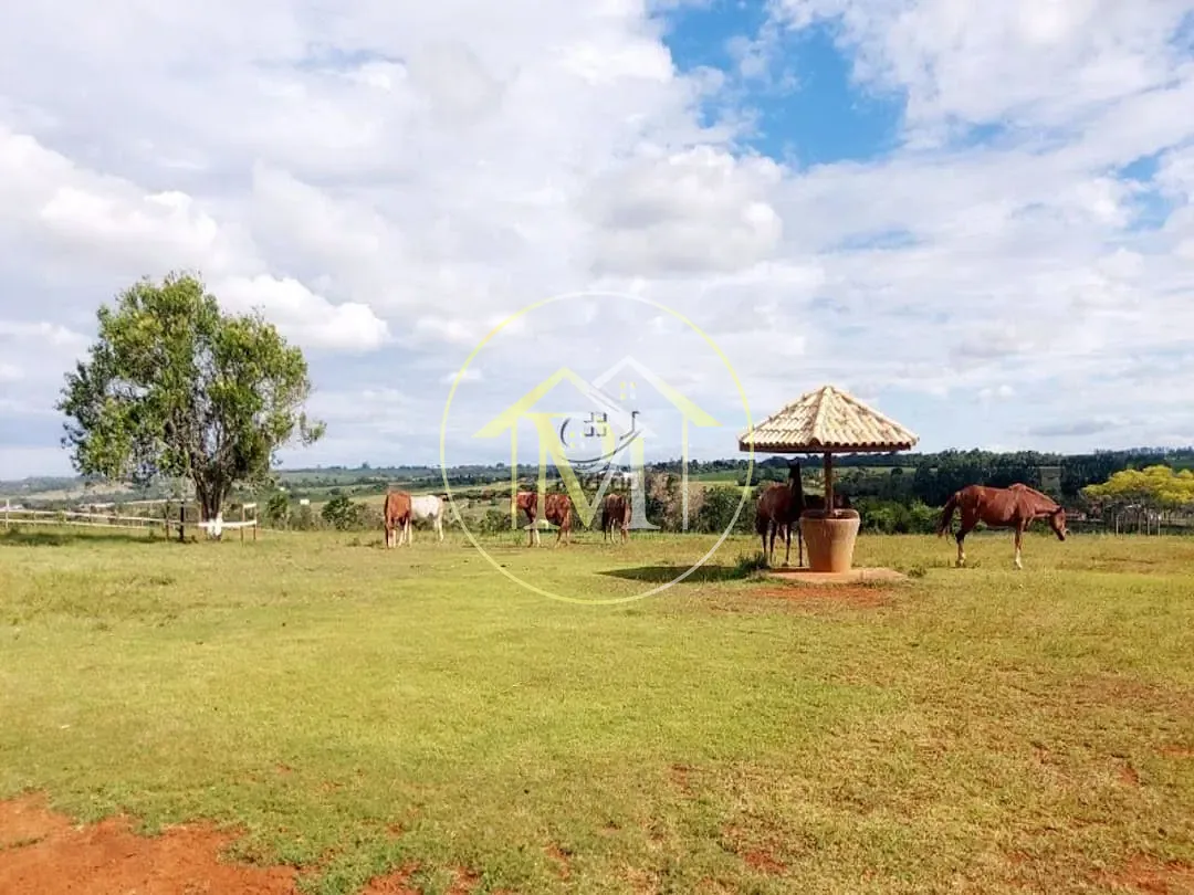 Fazenda, 152 hectares - Foto 9