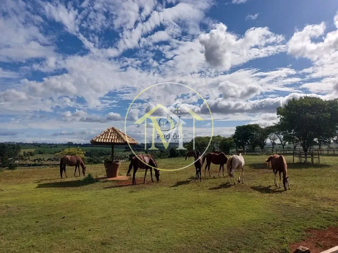 Fazenda, 152 hectares - Foto 13