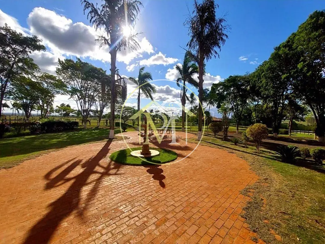 Fazenda, 152 hectares - Foto 20