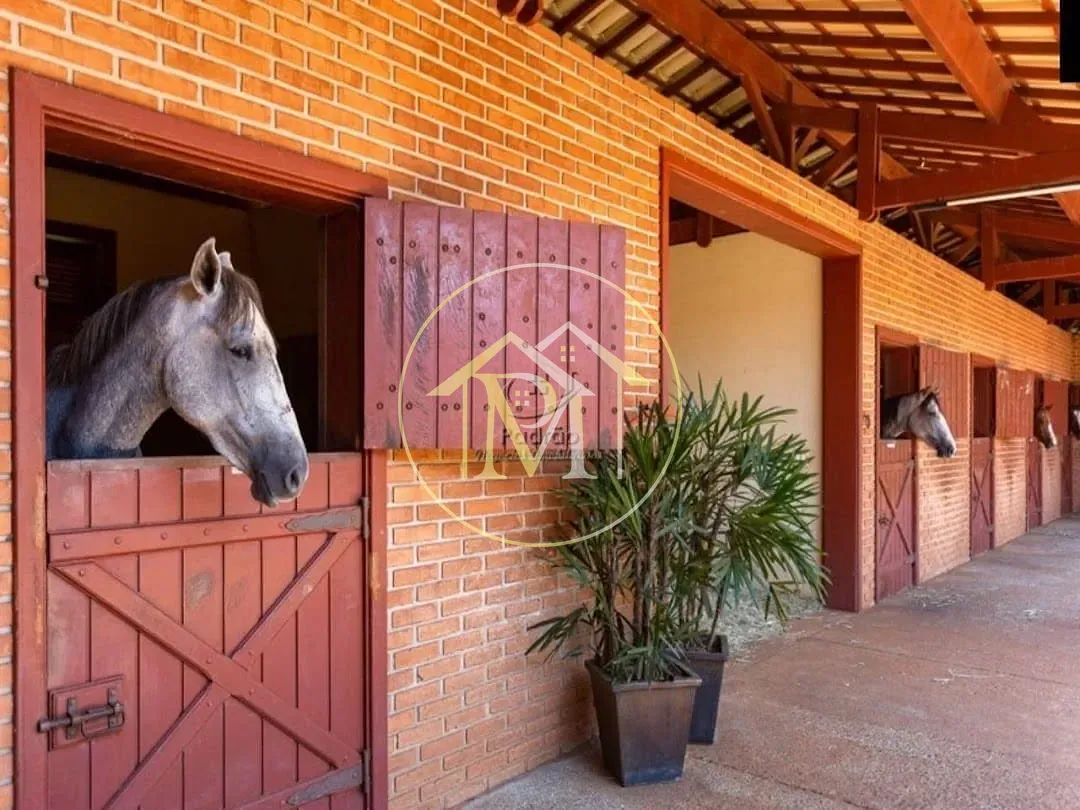 Fazenda, 152 hectares - Foto 27