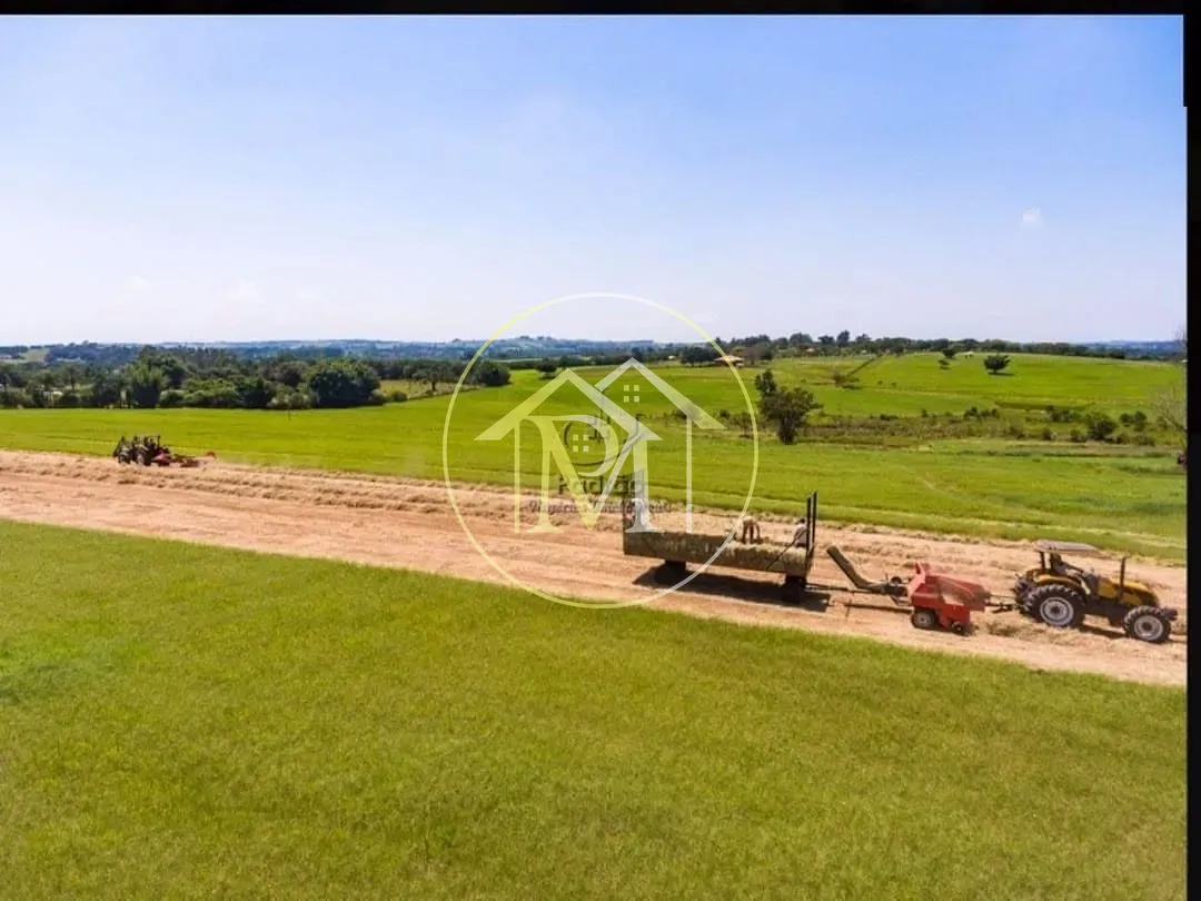 Fazenda, 152 hectares - Foto 7