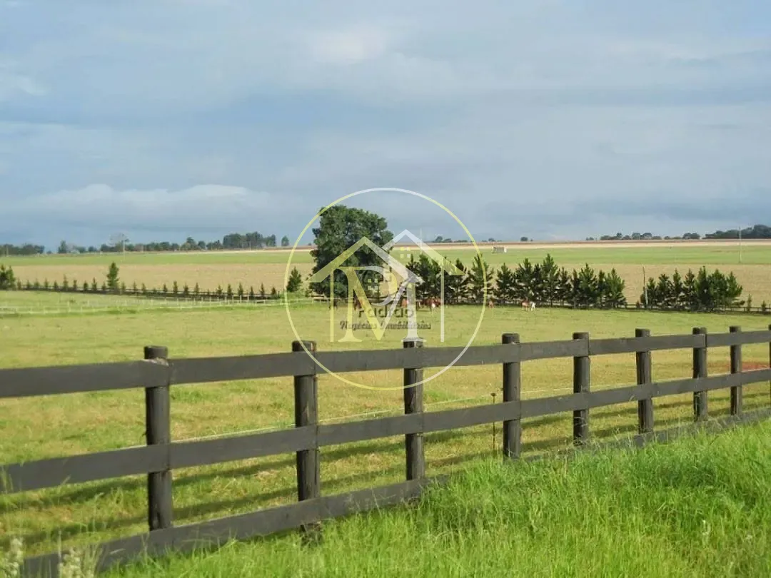 Fazenda, 111 hectares - Foto 8