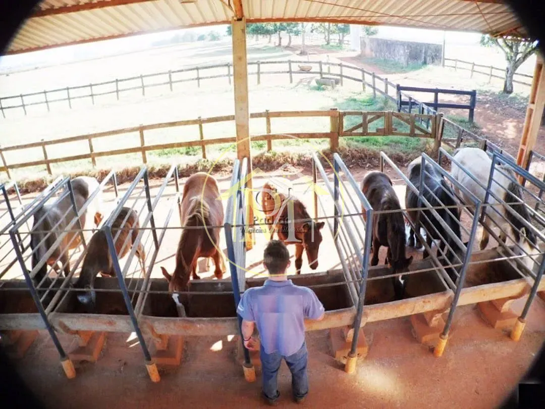 Fazenda, 111 hectares - Foto 13
