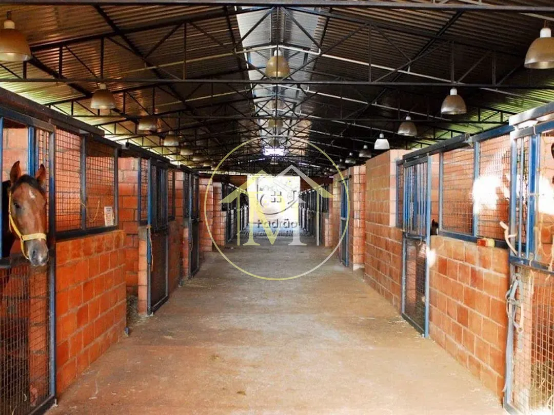 Fazenda, 111 hectares - Foto 12