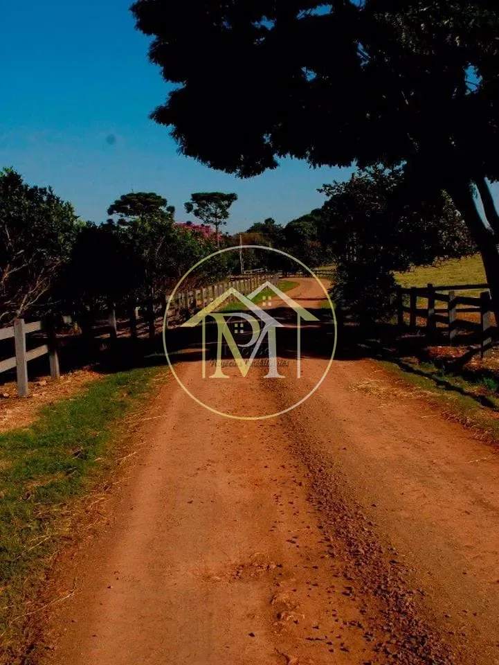 Fazenda, 111 hectares - Foto 7
