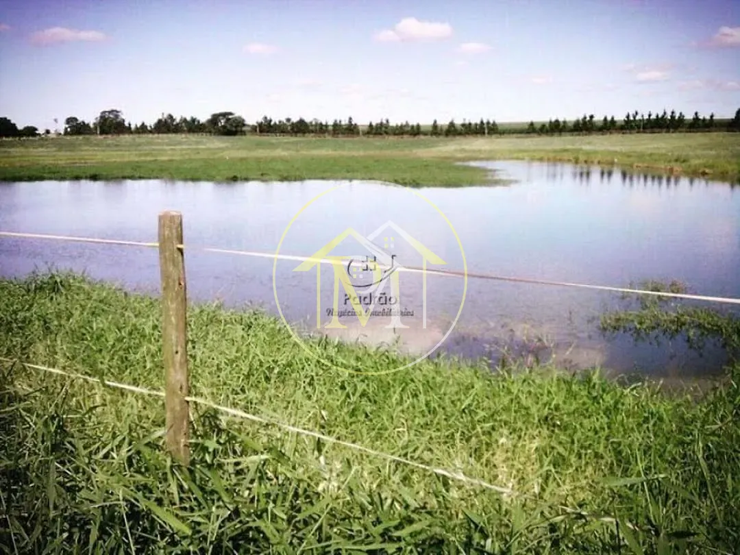 Fazenda, 111 hectares - Foto 19