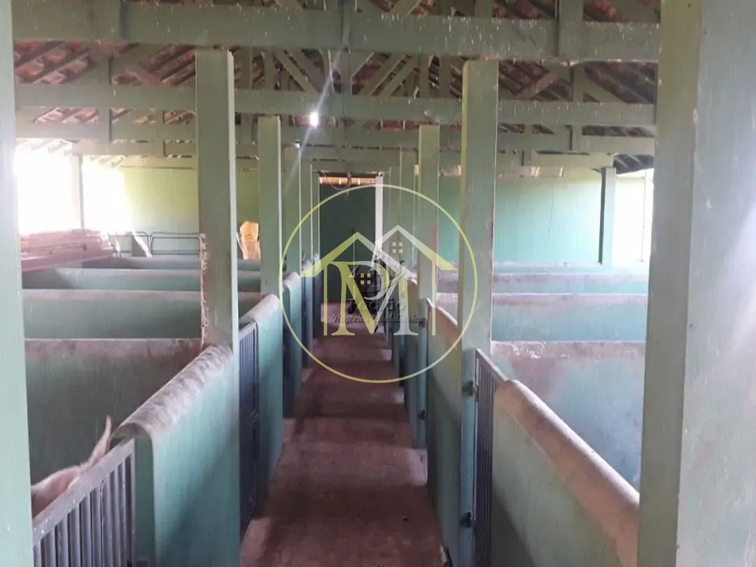 Fazenda, 12 hectares - Foto 11