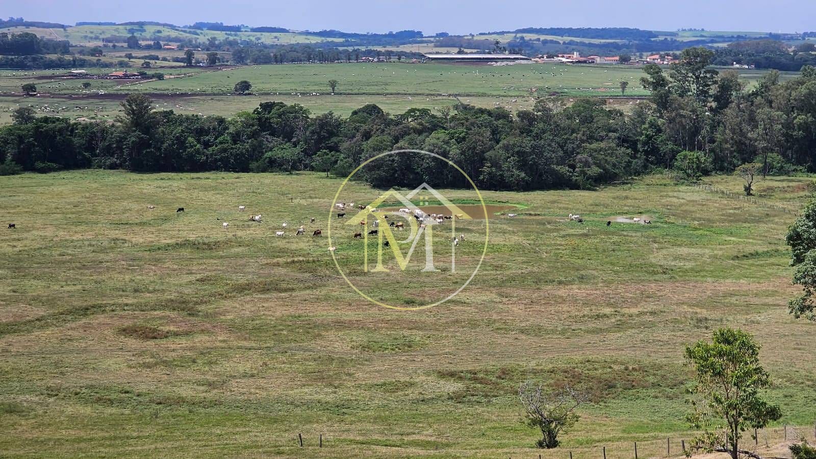 Fazenda, 240 m² - Foto 58