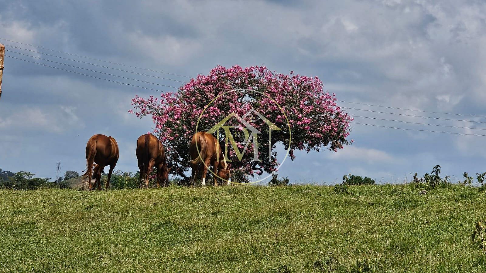 Fazenda, 240 m² - Foto 60