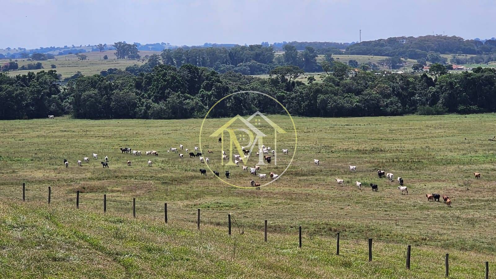 Fazenda, 240 m² - Foto 62