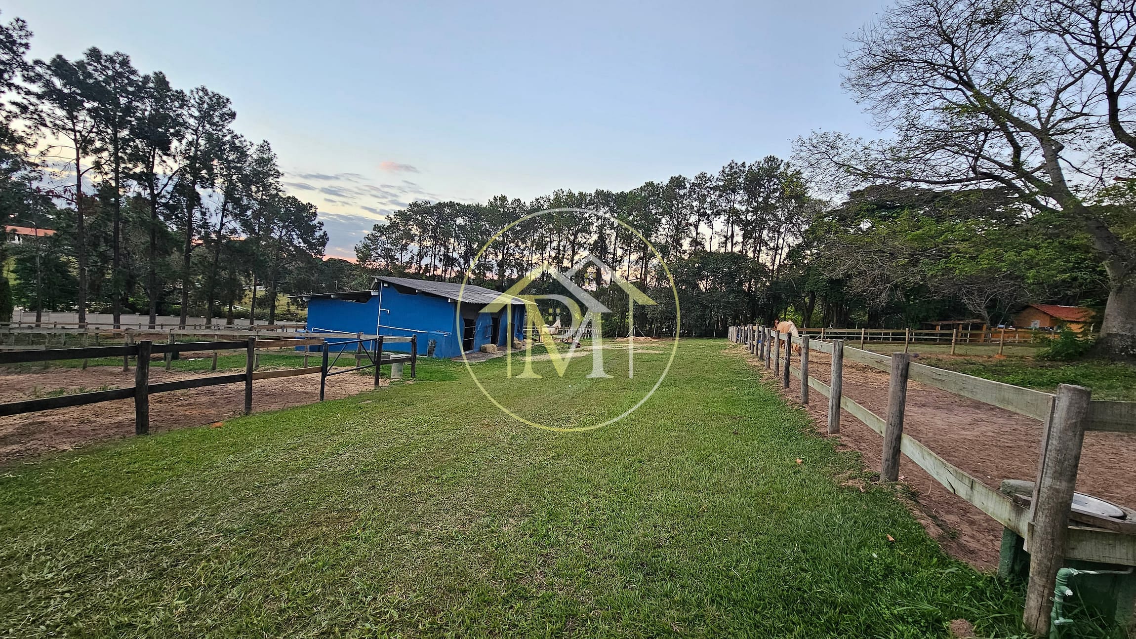 Chácara, 7 quartos, 2 hectares - Foto 13