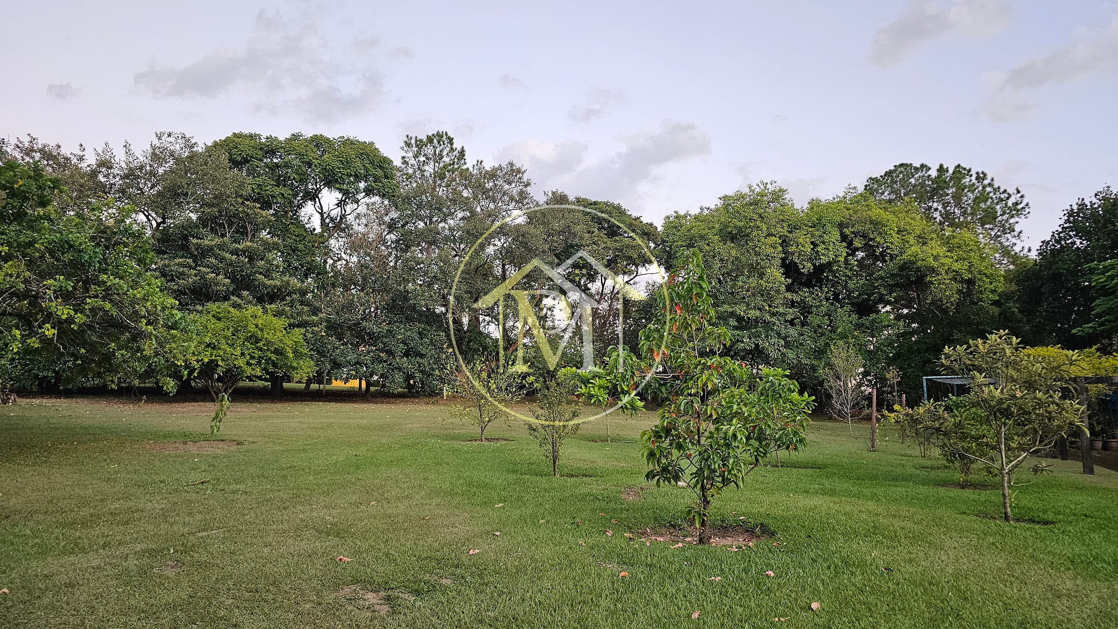 Chácara, 7 quartos, 2 hectares - Foto 17