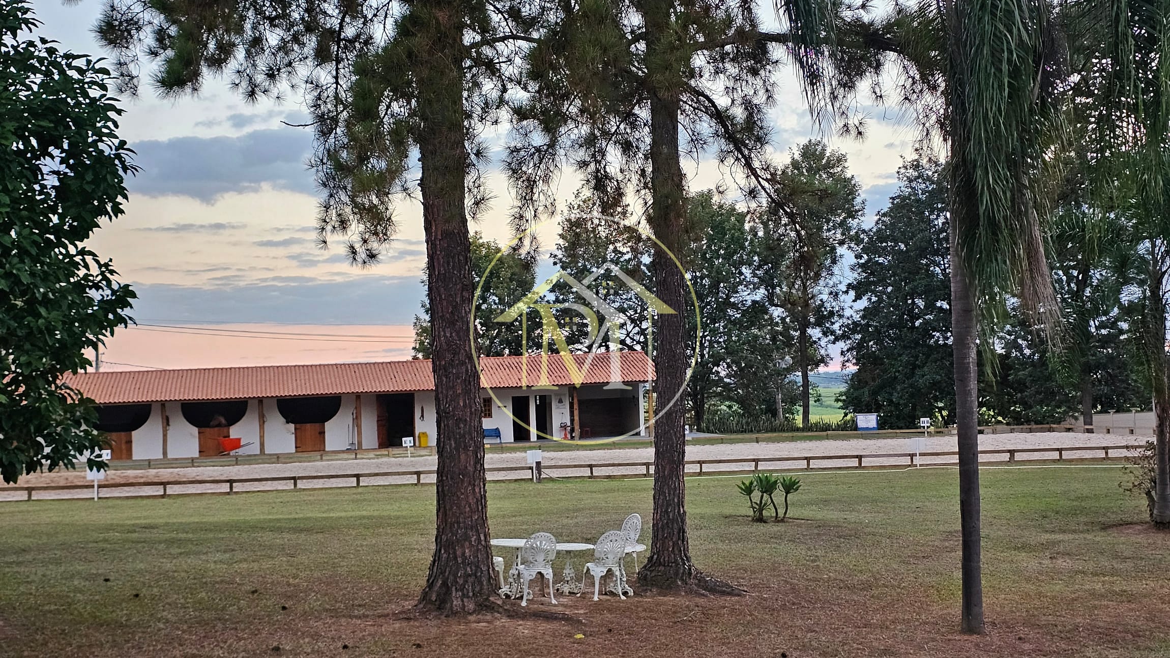 Chácara, 7 quartos, 2 hectares - Foto 3