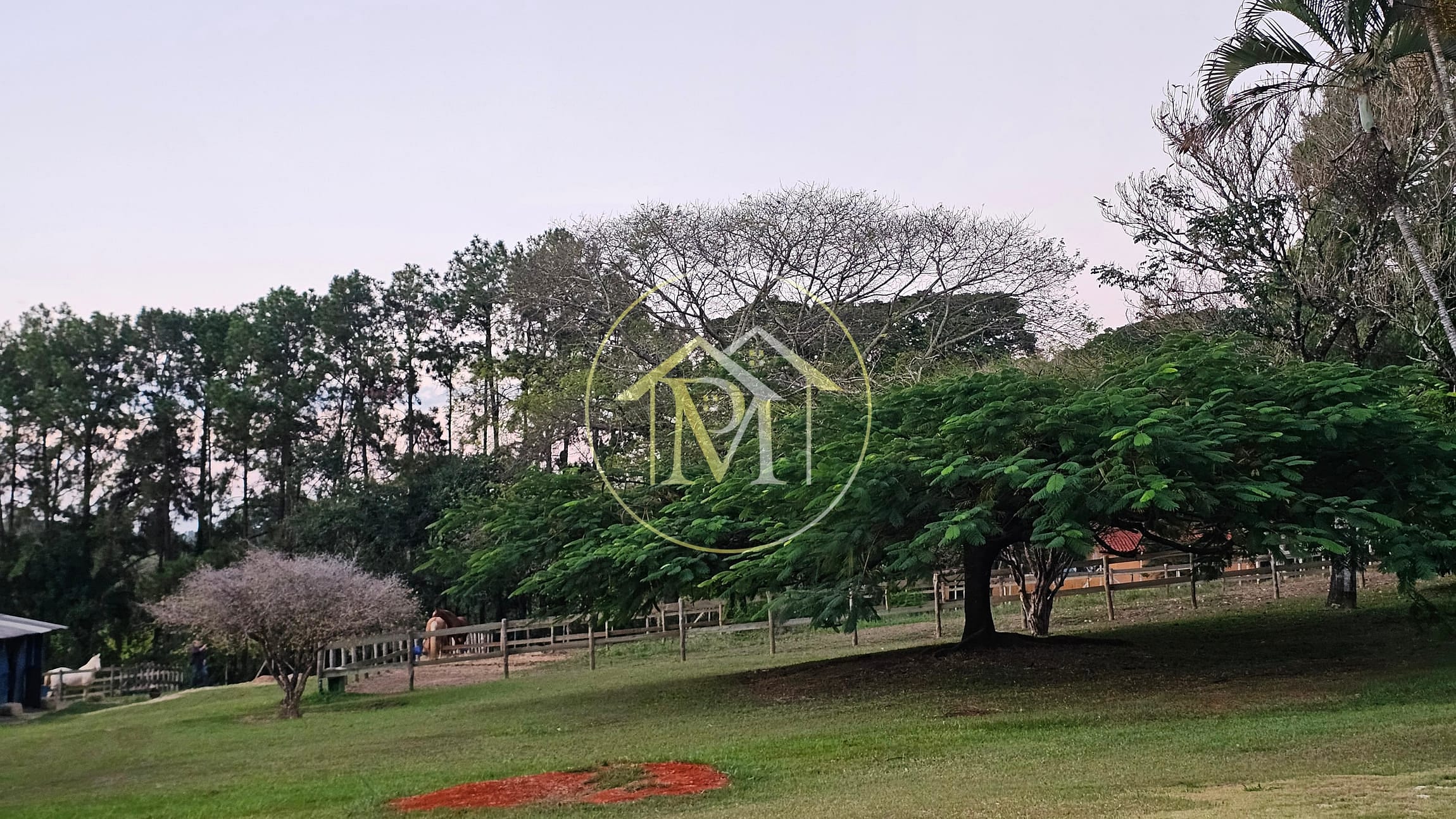 Chácara, 7 quartos, 2 hectares - Foto 19