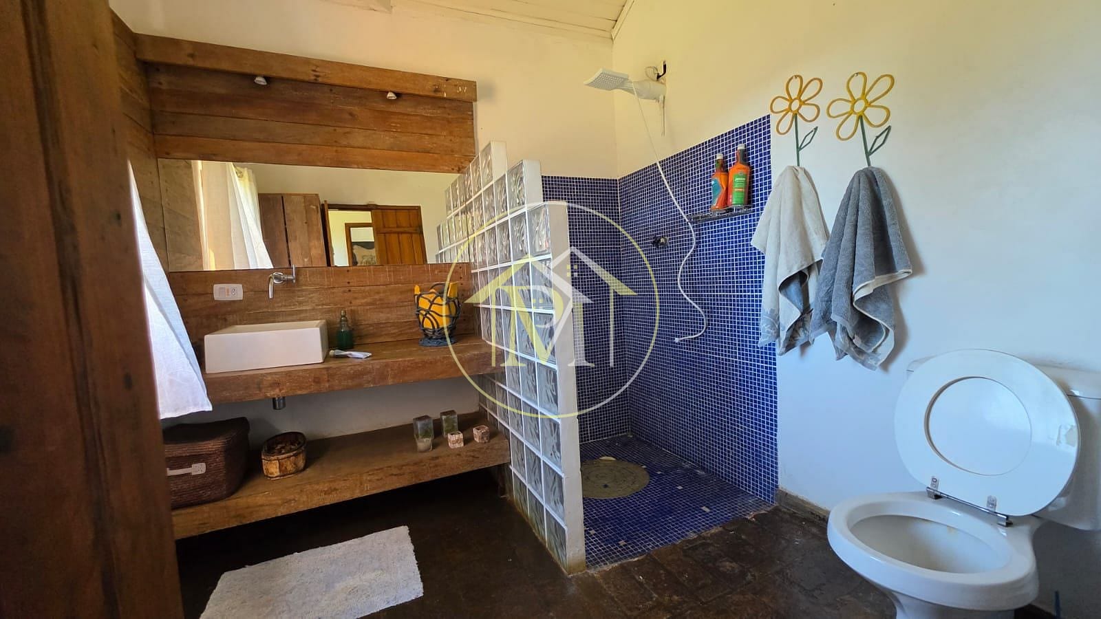 Fazenda, 24 hectares - Foto 38