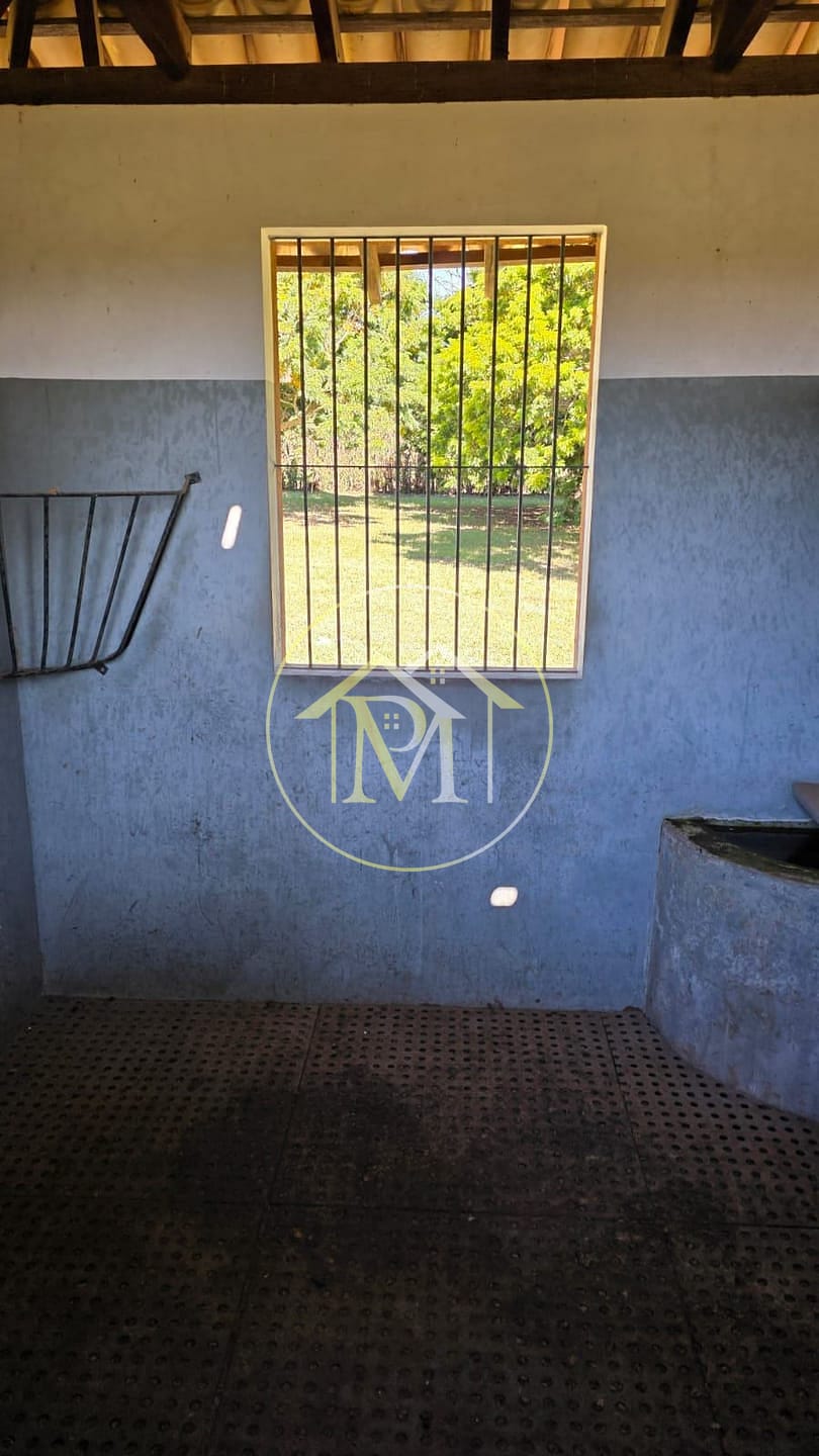 Fazenda, 24 hectares - Foto 46