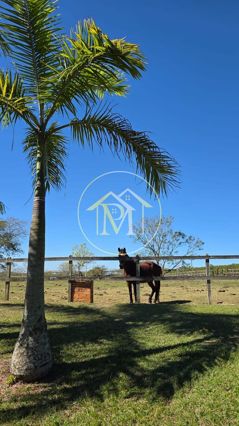 Fazenda, 24 hectares - Foto 49