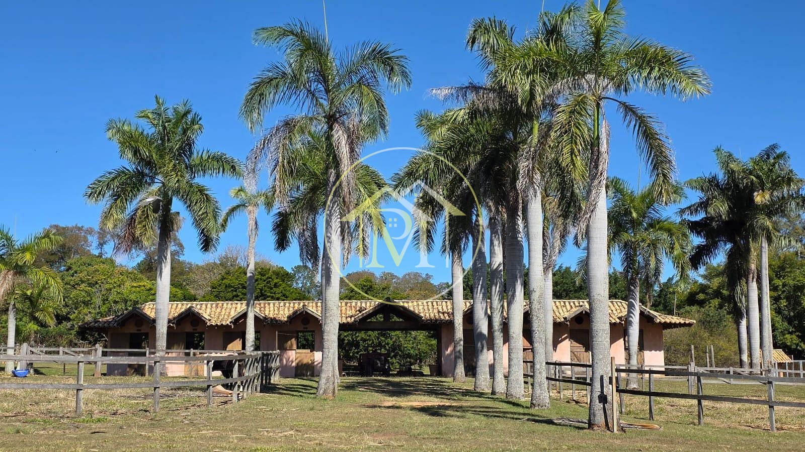 Fazenda, 24 hectares - Foto 3