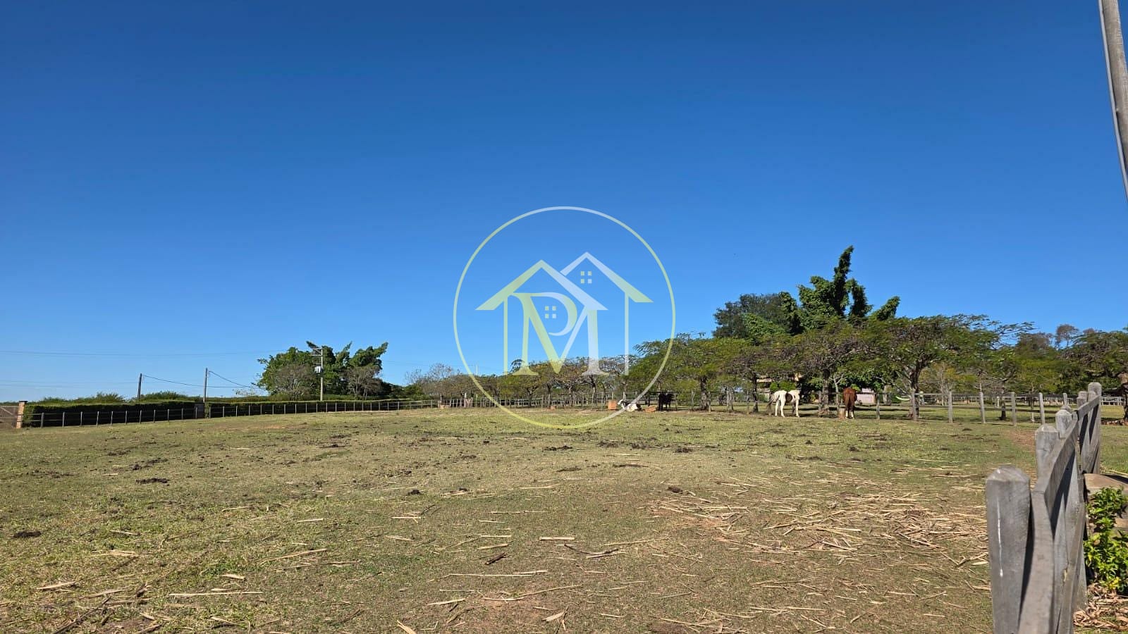 Fazenda, 24 hectares - Foto 12