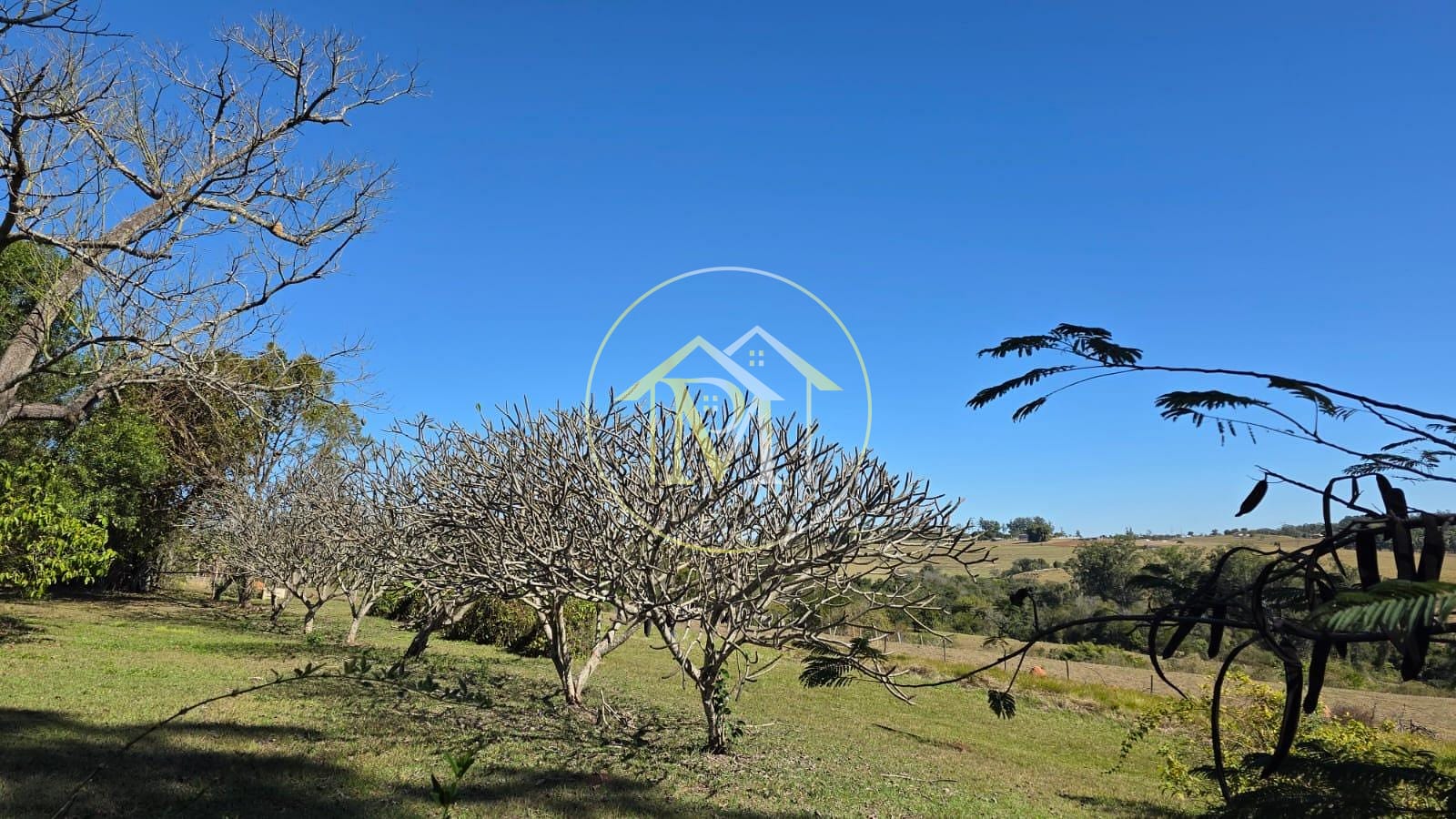 Fazenda, 24 hectares - Foto 22