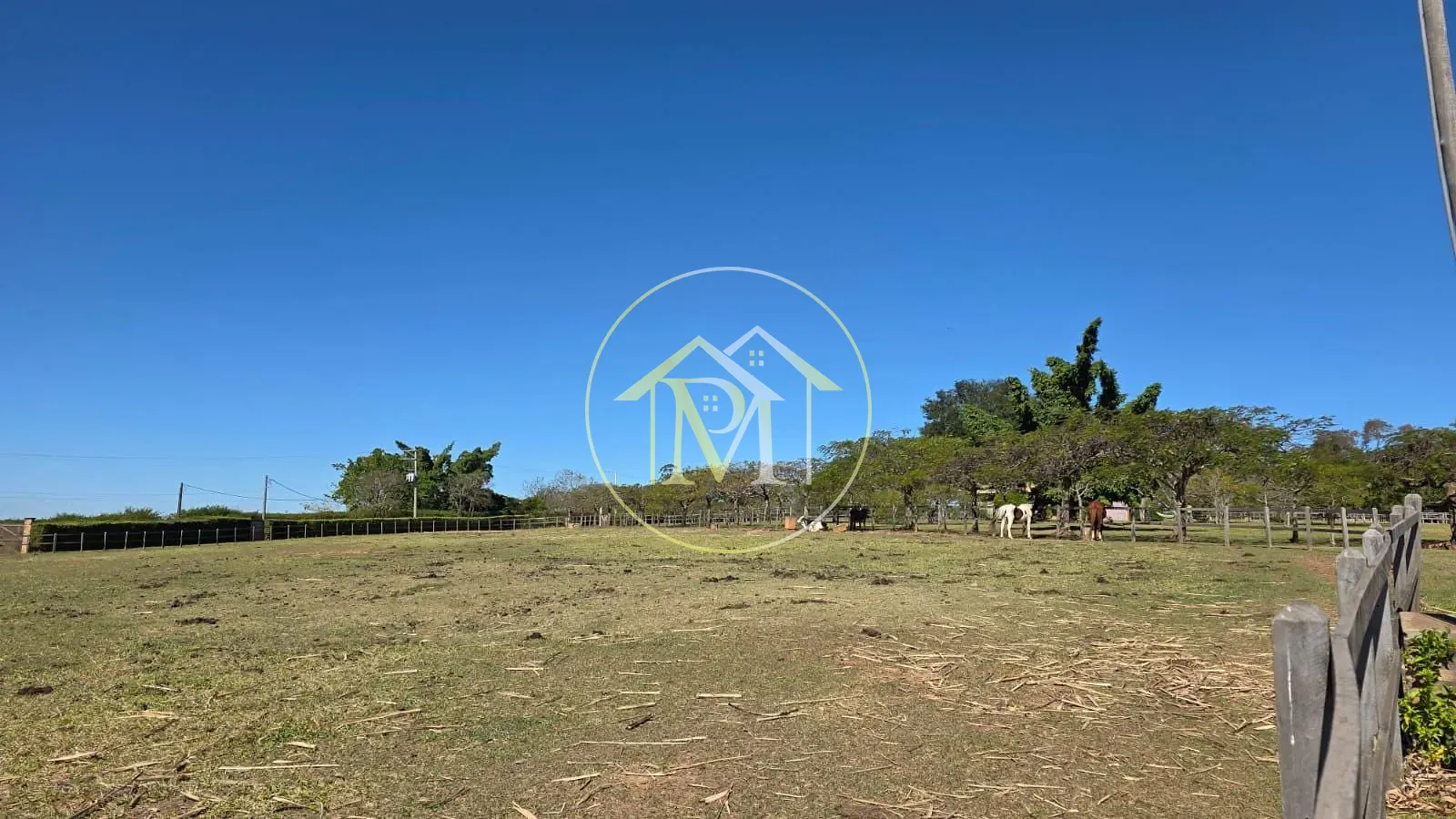 Fazenda, 24 hectares - Foto 12