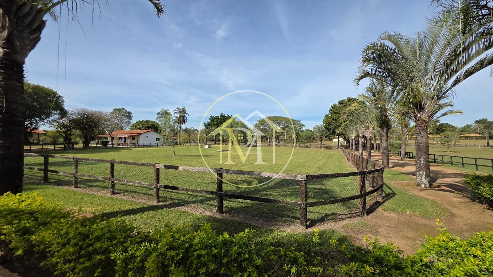Fazenda à venda com 3 quartos, 10m² - Foto 8
