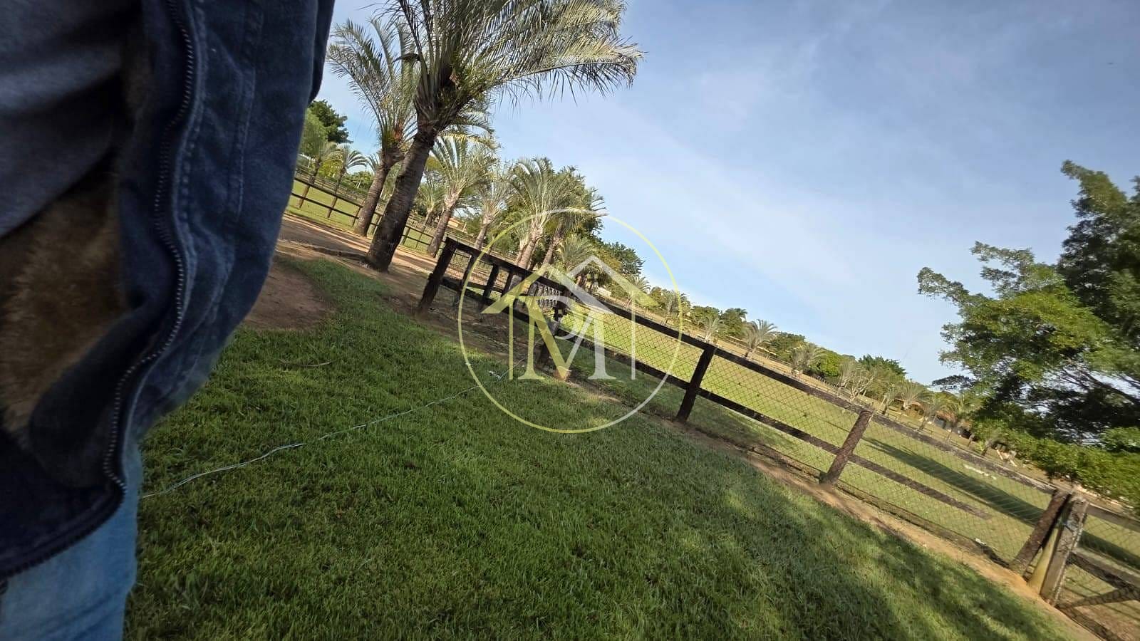 Fazenda à venda com 3 quartos, 10m² - Foto 11