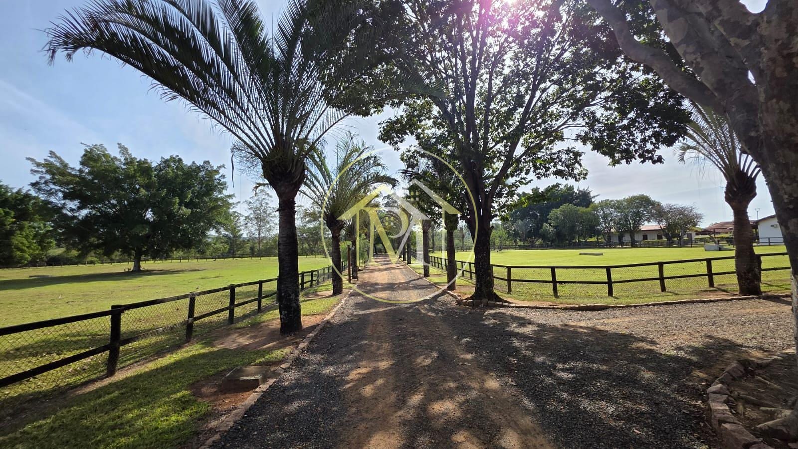Fazenda à venda com 3 quartos, 10m² - Foto 16