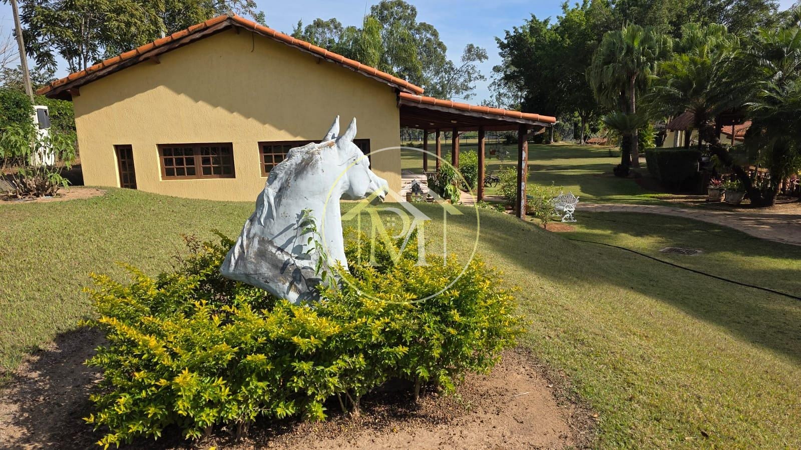 Fazenda à venda com 3 quartos, 10m² - Foto 48