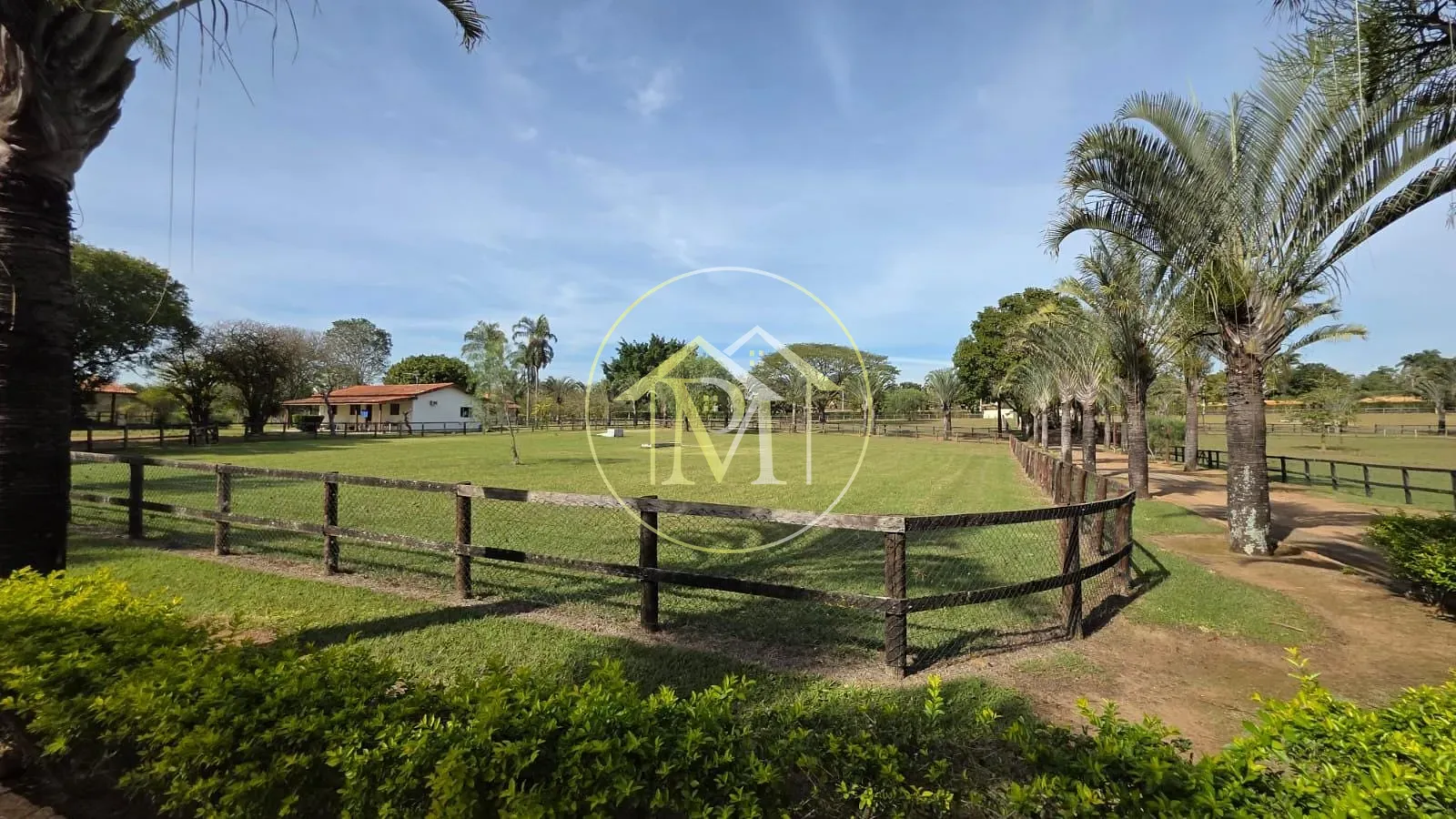 Fazenda, 6 hectares - Foto 8