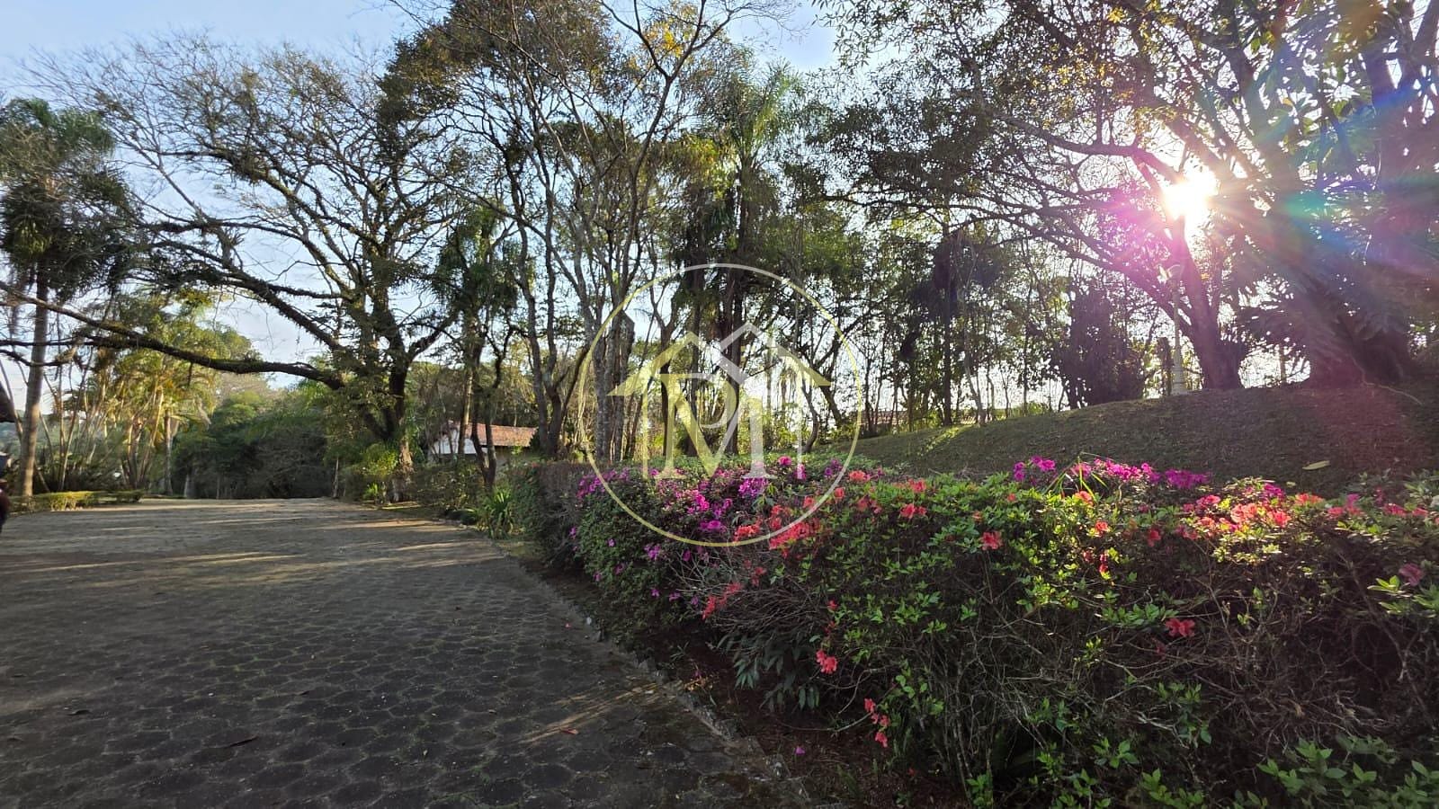 Sítio, 6 quartos, 7840 m² - Foto 31