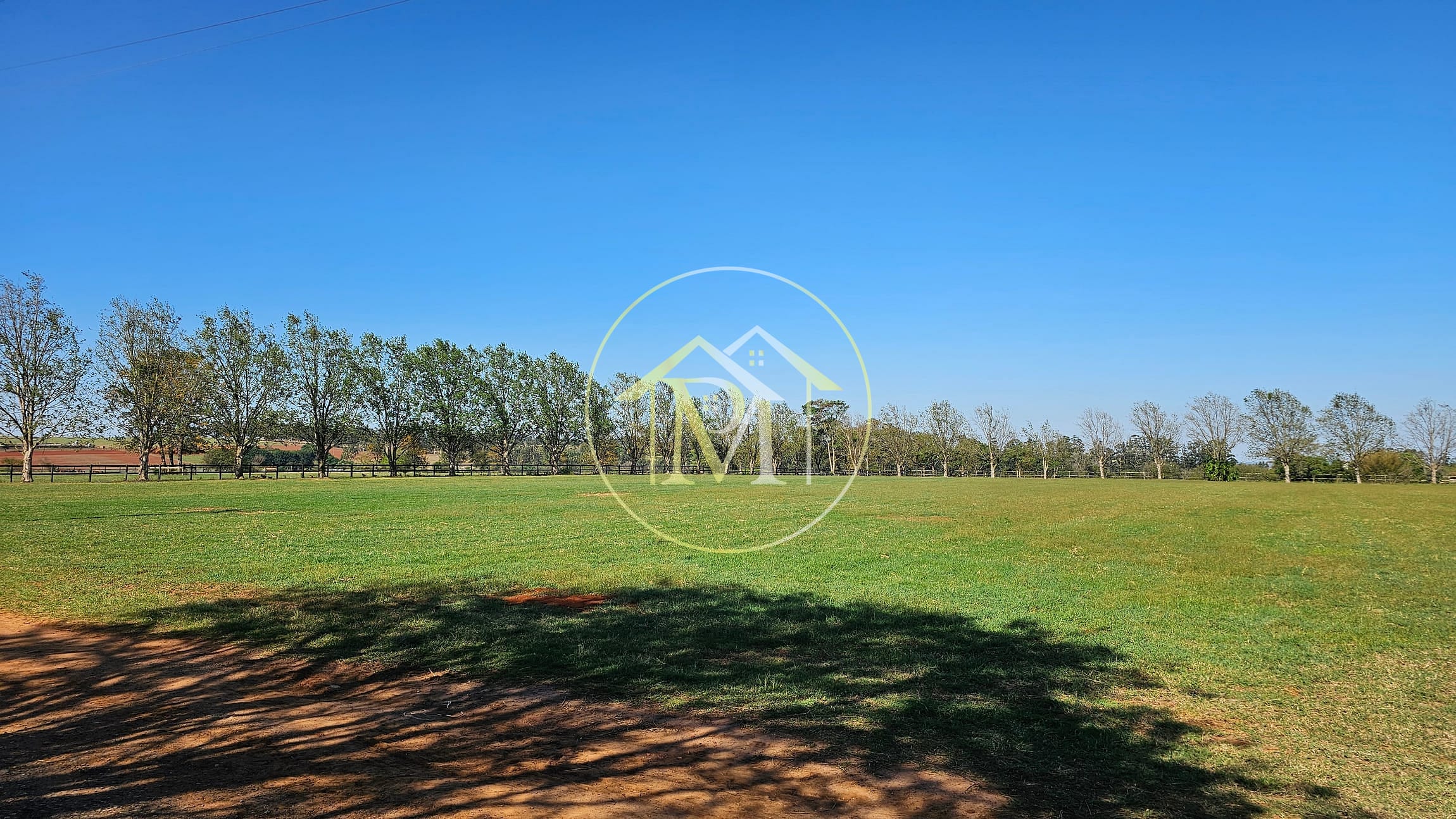 Fazenda, 77 hectares - Foto 3