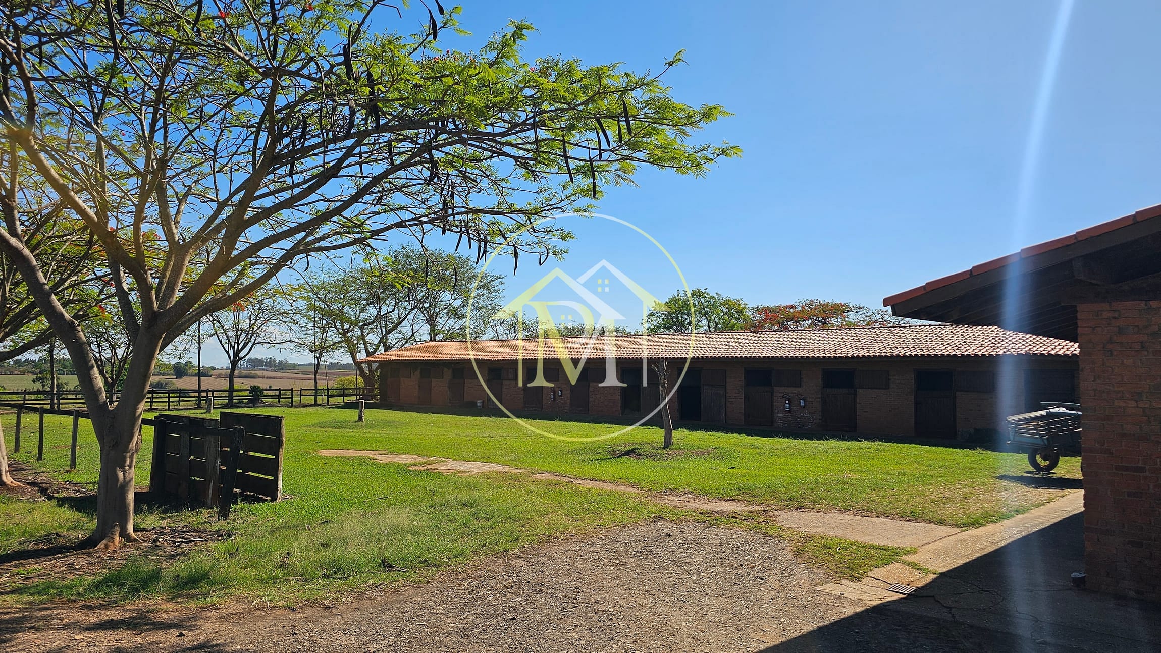 Fazenda, 77 hectares - Foto 4