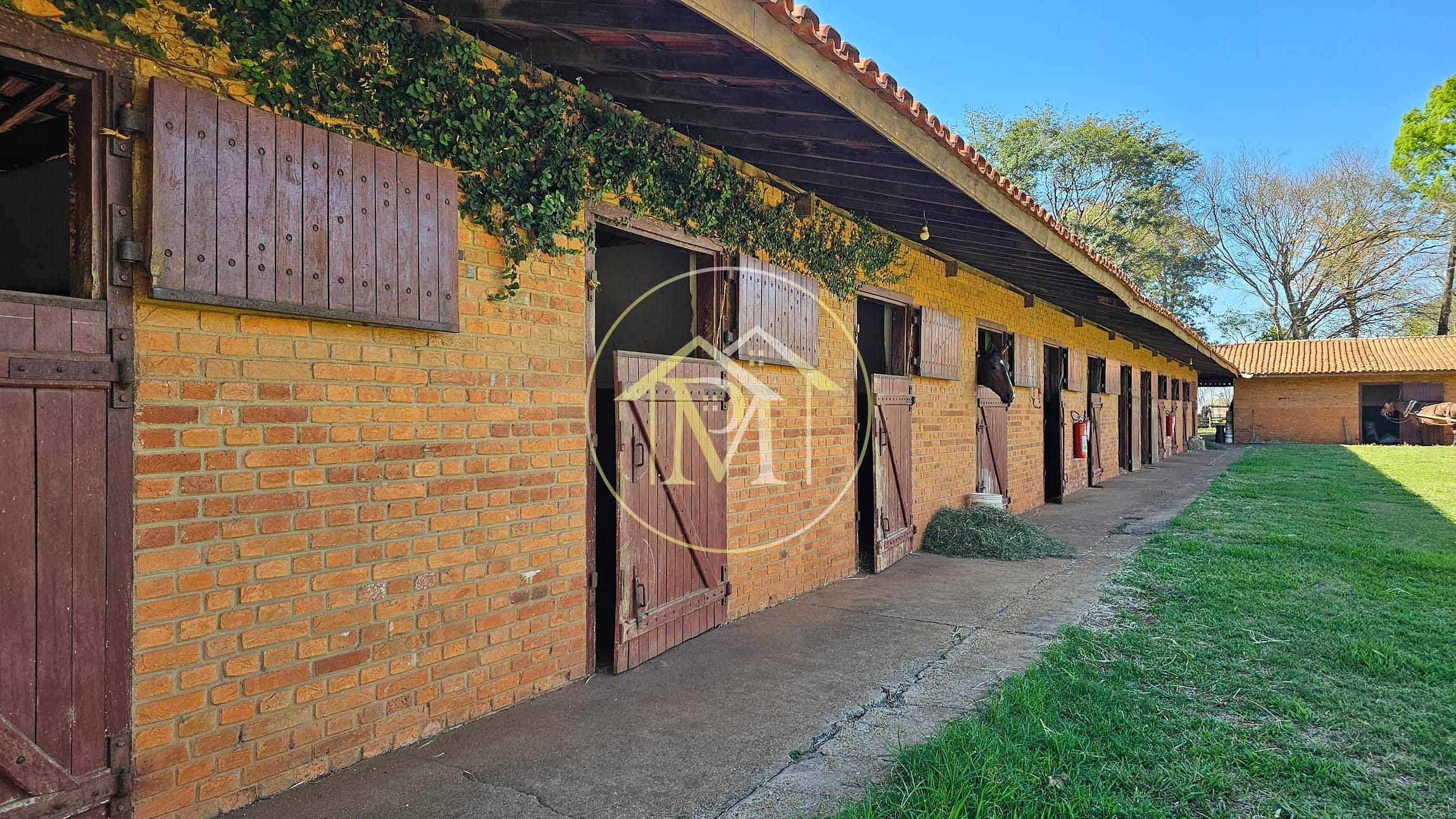 Fazenda, 77 hectares - Foto 5