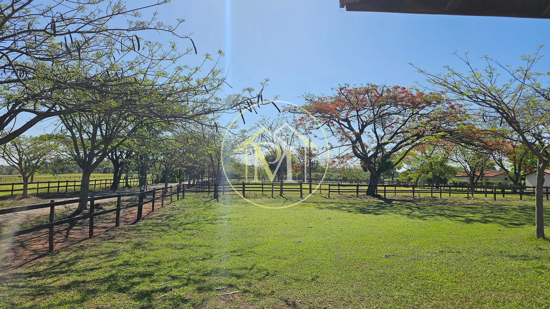 Fazenda, 77 hectares - Foto 2