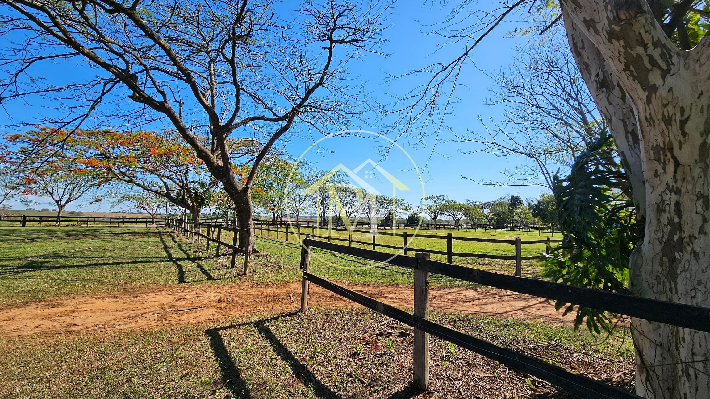 Fazenda, 77 hectares - Foto 10
