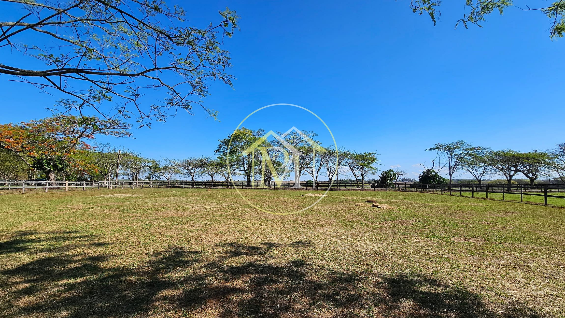 Fazenda, 77 hectares - Foto 12