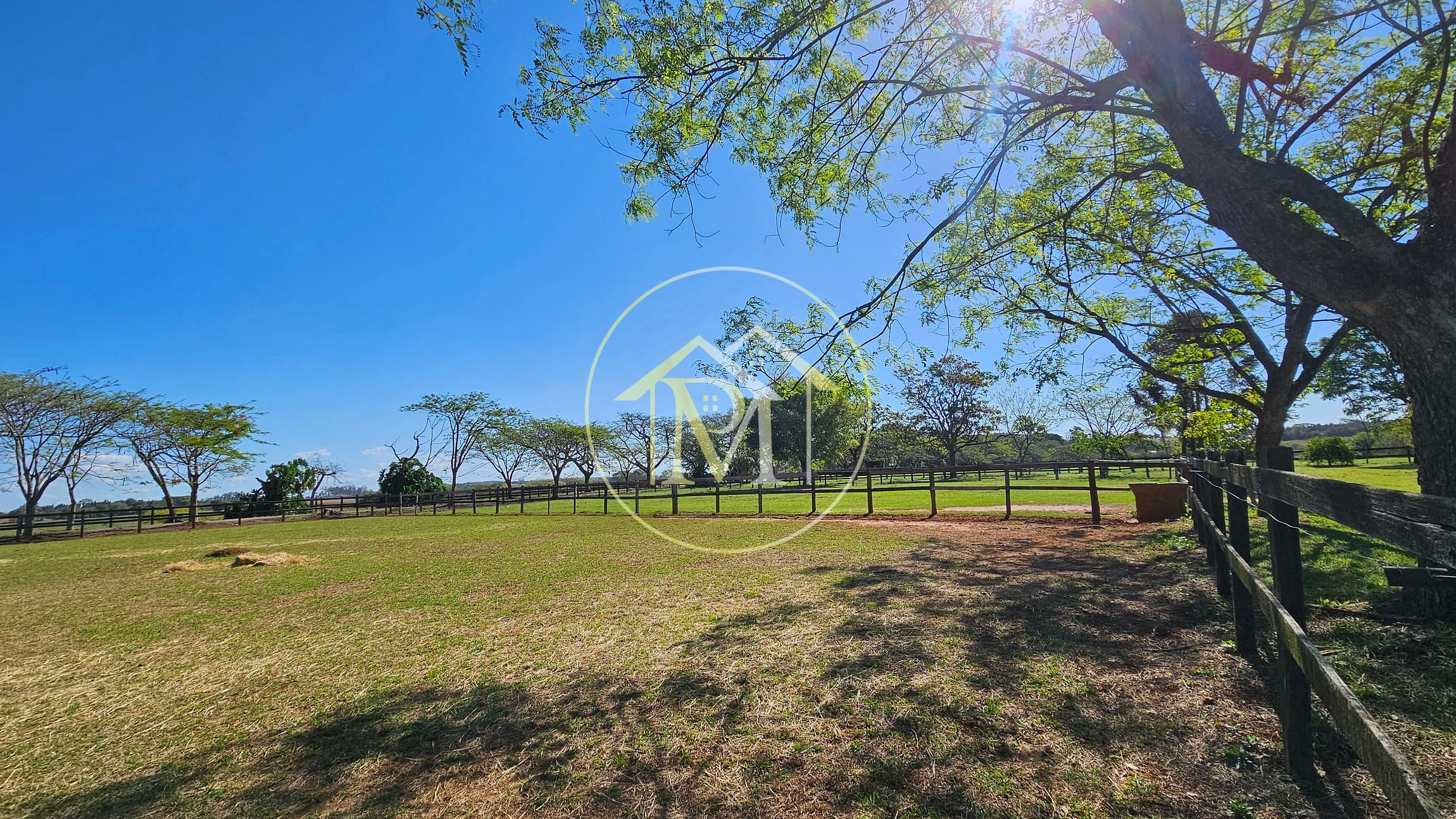 Fazenda, 77 hectares - Foto 13