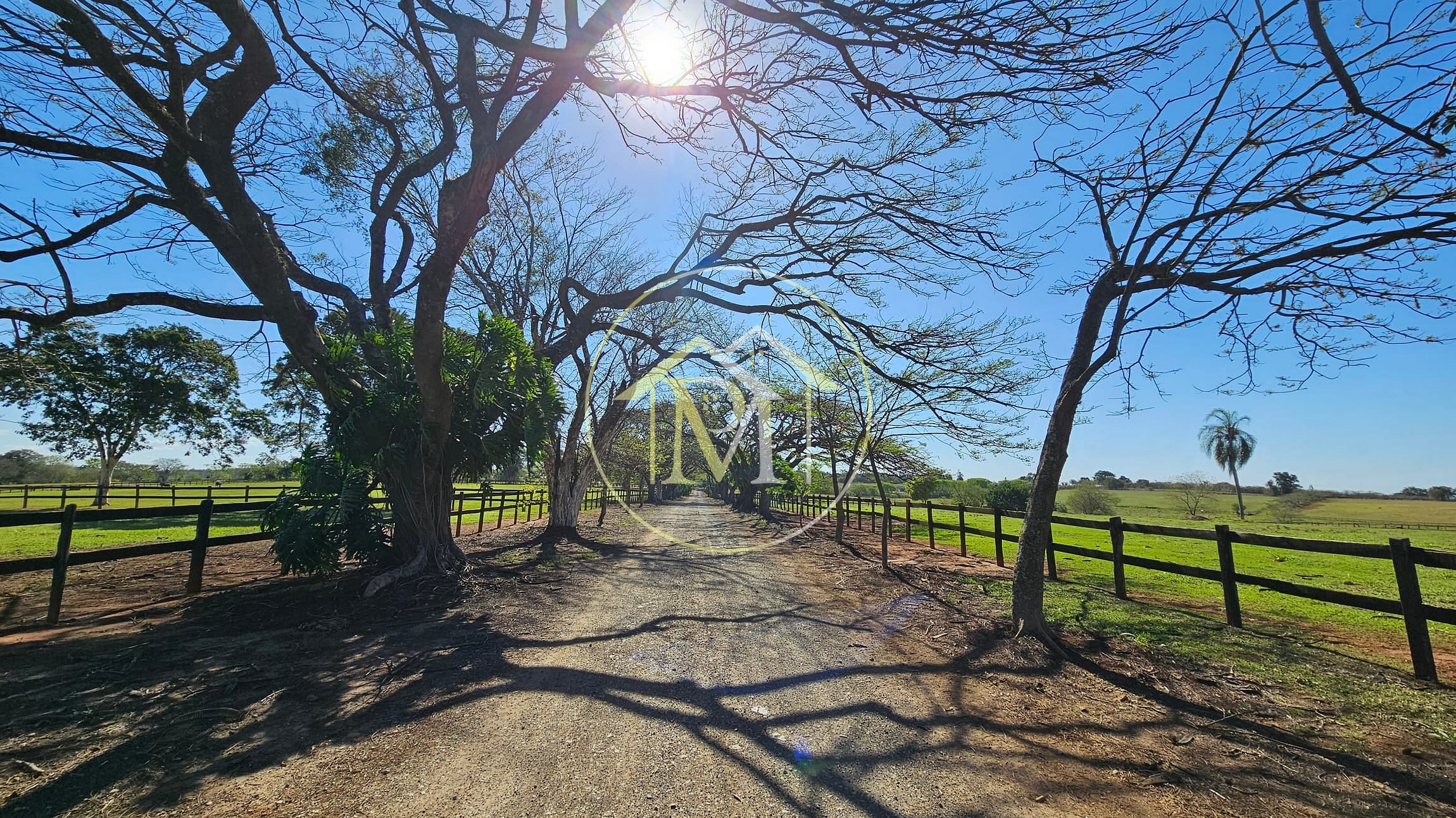 Fazenda, 77 hectares - Foto 21