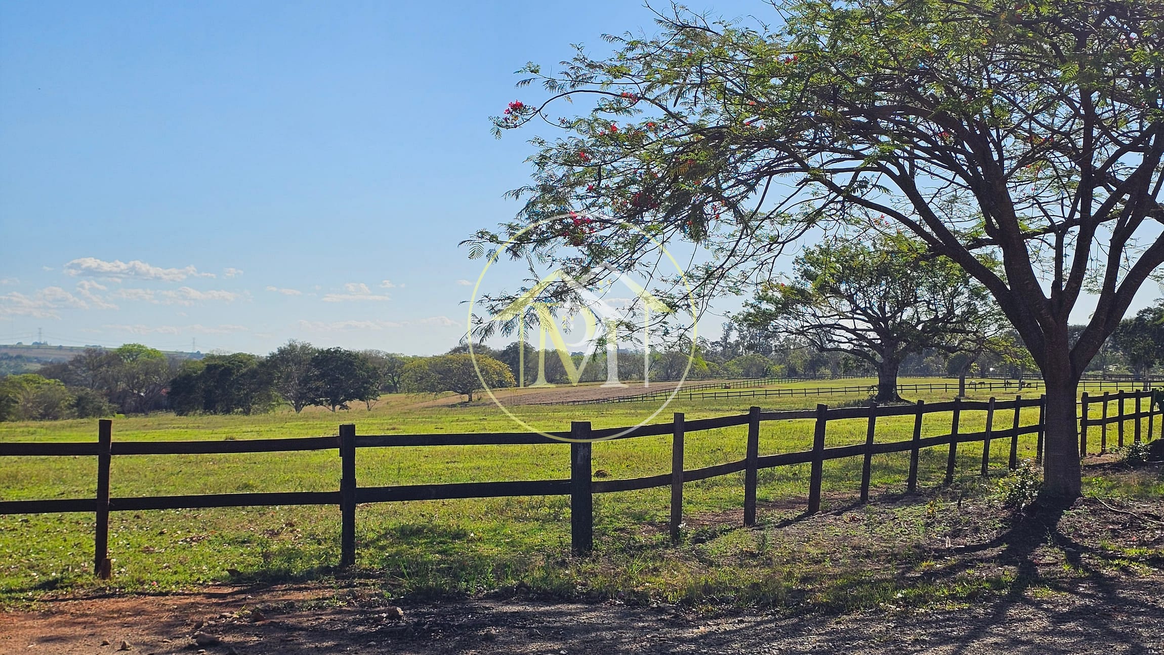 Fazenda, 77 hectares - Foto 41