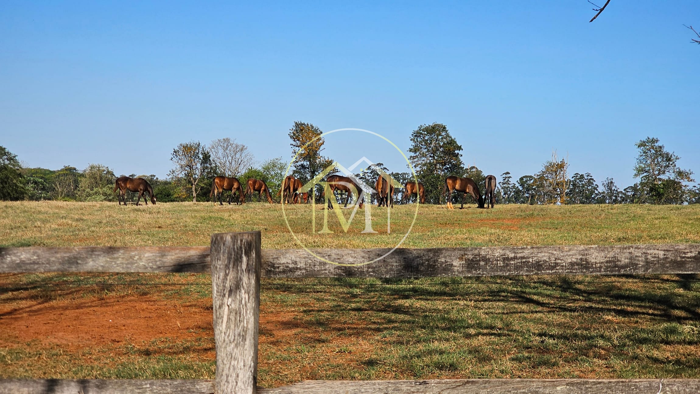 Fazenda, 77 hectares - Foto 20