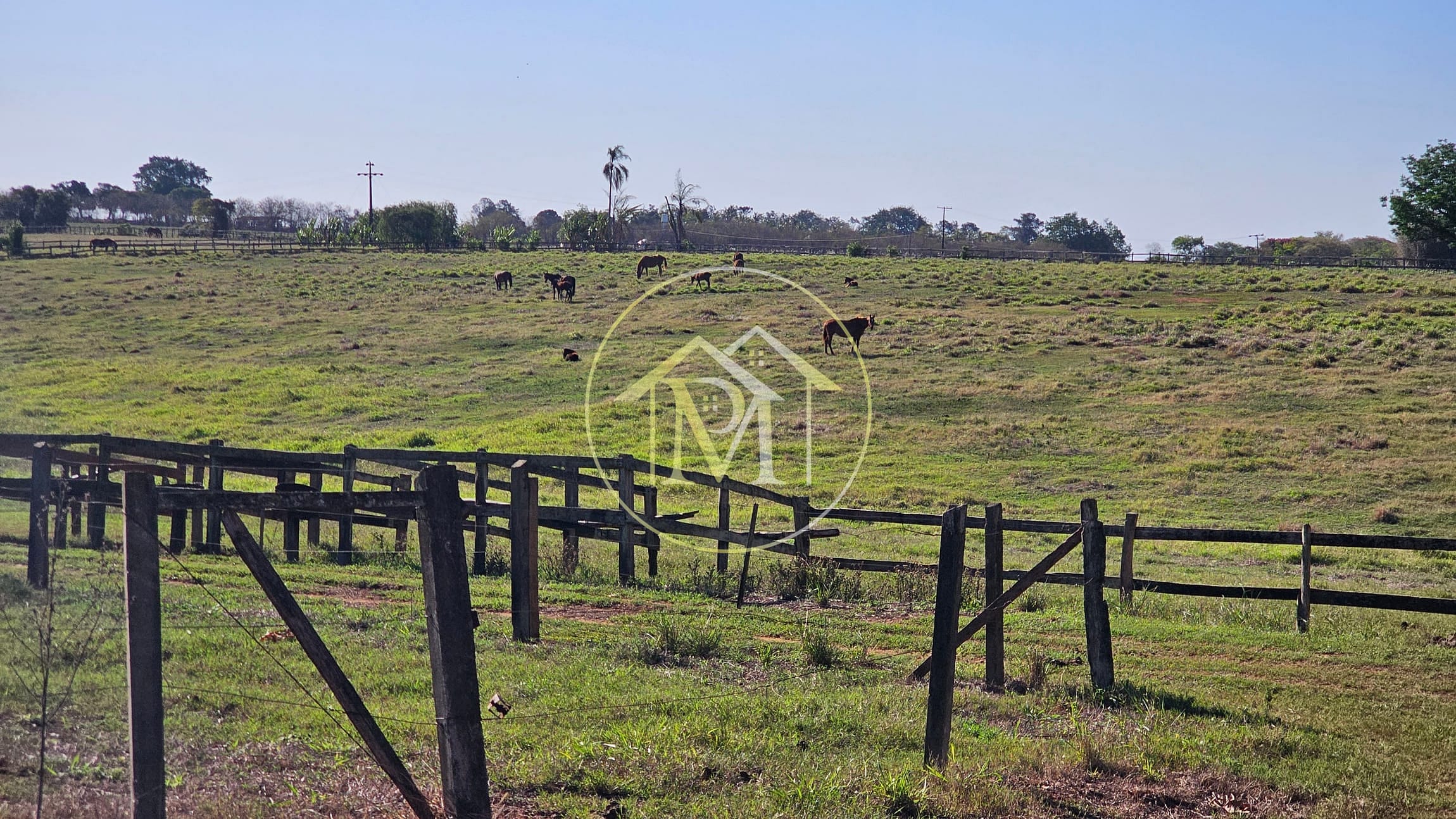 Fazenda, 77 hectares - Foto 18