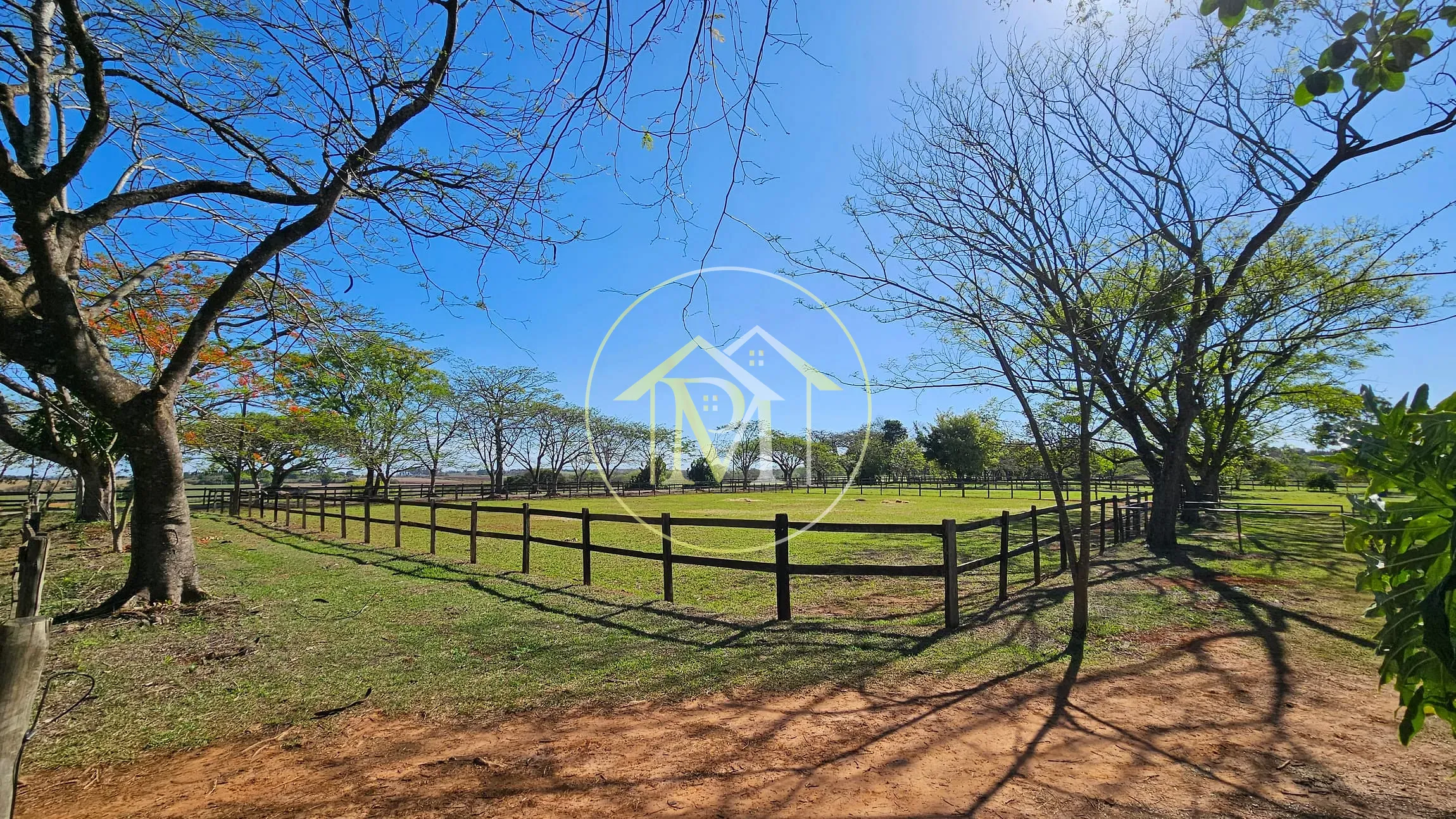 Fazenda, 77 hectares - Foto 9