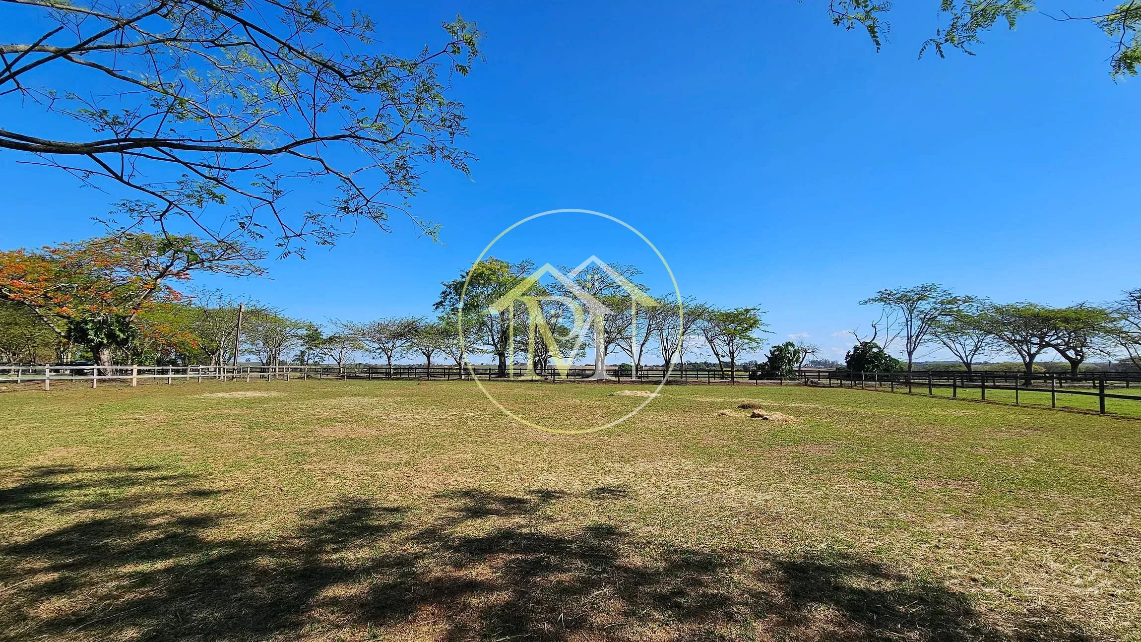 Fazenda, 77 hectares - Foto 12