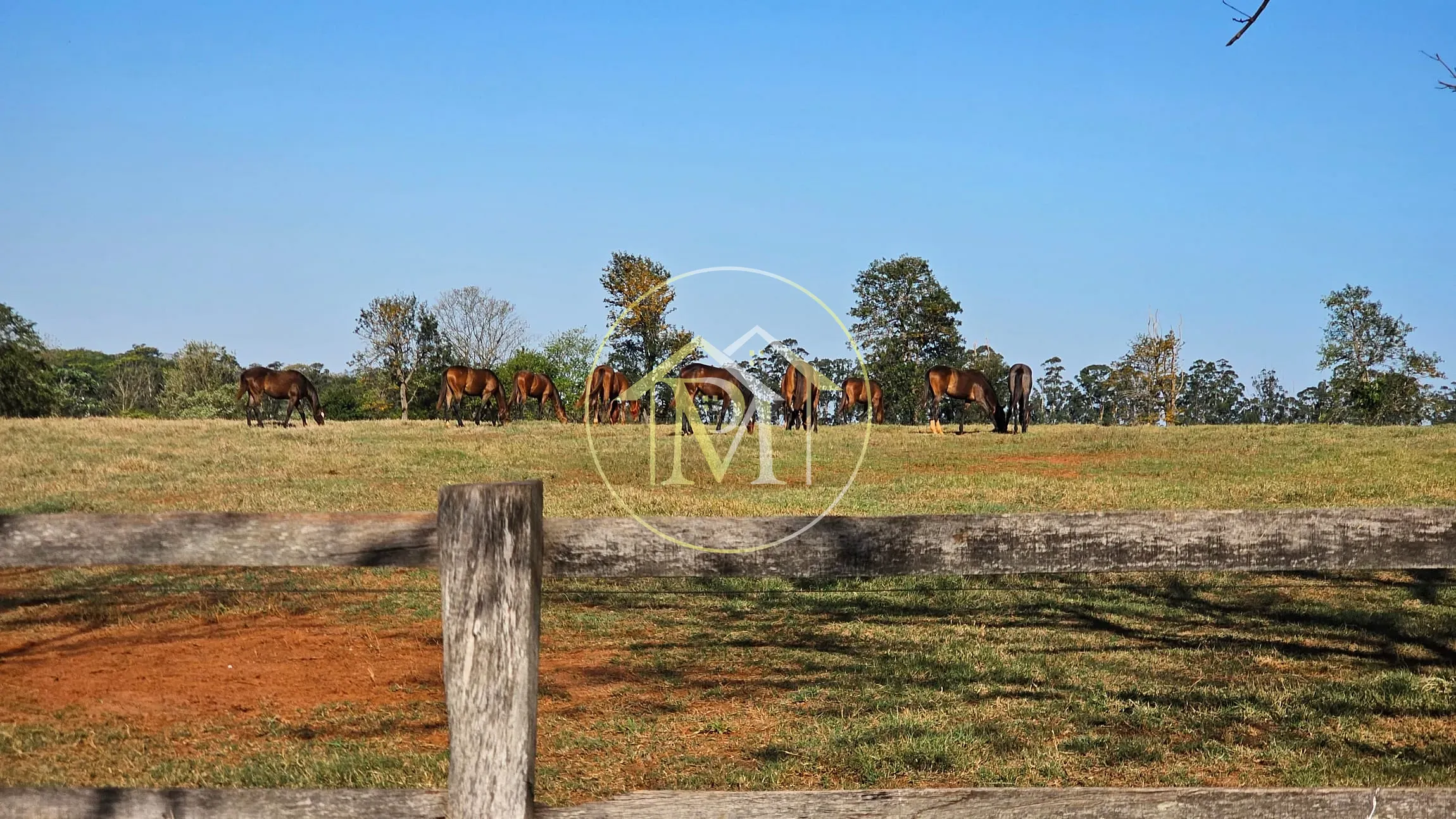 Fazenda, 77 hectares - Foto 20